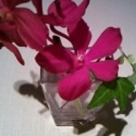 Keirin - テーブルのお花