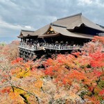 Maeda Kohi - ◎清水寺の終わりかけの紅葉。