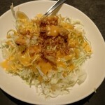 Yougan Suteki Enya - サラダ