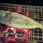 津田水産 - かれい★★★
      味は良いのだが身が薄くて食べづらい
      焼きすぎたのかも(^^;)