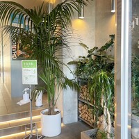 TRATTORIA KIKUYA - 