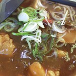 Yamada Udon Shokudou - 和風カレー蕎麦、アップ