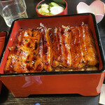 Unagi Ogawa - 