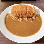 kare-hausukokoichibanya - ロースカツカレー　350g