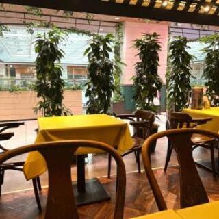 ティガボンボン_2