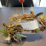 プレゼンテ スギ - 