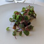 ピエール・ガニェール - アンチョビの香る天然真鯛のグリエ キノコのフリカッセ 群馬産生ハム