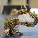 プレゼンテ スギ - 