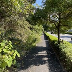 プレゼンテ スギ - 