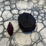 プレゼンテ スギ - 