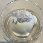 プレゼンテ スギ - 