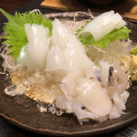 はす家 - いか刺し、アオリイカ