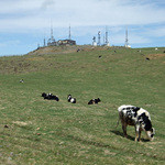 王ヶ頭ホテル - 