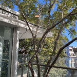 トライアングルカフェ - 