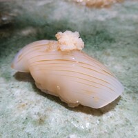 鮨 四心 - 