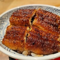 炭焼 うな富士 有楽町店 - うなぎ丼(並)