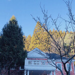 湯布院ホテル森のテラス - 