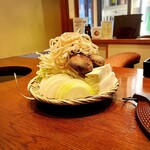 もん善別館 - 野菜以外には豆腐、しらたき、麩が盛り付けられています(o^^o)