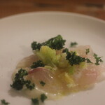 ラ　ティエラ - ヒラメ、小蕪、ケール