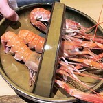 温石 - 赤座海老の登場