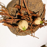 ラ・ヴァガボンド - 