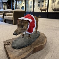 丹波篠山　近又 - 