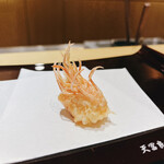 天冨良 麻布よこ田 銀座別邸 - 車海老くも足