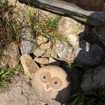 カフェ リエッコ - ふくろうとかえるさんの石像がありました
