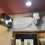 一条流がんこ総本家分家四谷荒木町 - 