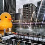 キャトルラパン - 