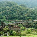 躱喵喵咖啡館 Hide and Seek - 