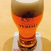 YEBISU BAR 本厚木店