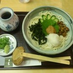 銀座木屋 - 梅おろしうどん