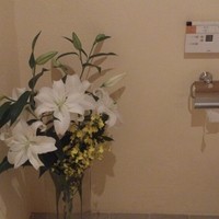 レストラン プランデルブ北鎌倉 - お手洗い