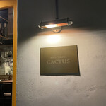 BRACERIA CACTUS - 