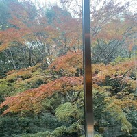 中国料理 四川 - 