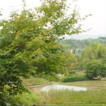 Lier・幡 - 窓からの景色アップ