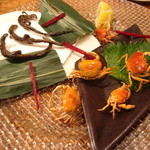 だぼ - サンショウウオと沢ガニ