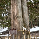 うずら家 - 3本杉。