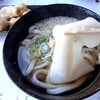 うどん専門 めだか