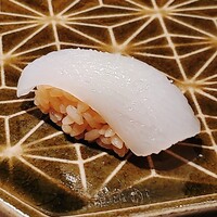 鮨 若尊 - アオリイカ握り