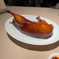 銀座嘉禅 - 