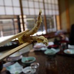 博多料亭 稚加榮 - ゲソ天に変身