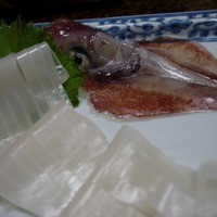 稚加榮 本店 - 泳ぎイカです