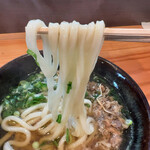 Yakushi Udon - 麺