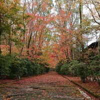 鷹庵 - 