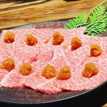 Honkaku Yakiniku Haramichan - 