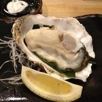 天ぷら てんかつ - 厚岸の生牡蠣、天ぷらもめちゃ美味♪