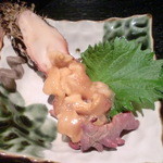 すし居酒屋 樽 - ホヤ刺身