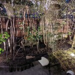 飯倉 からき - お庭